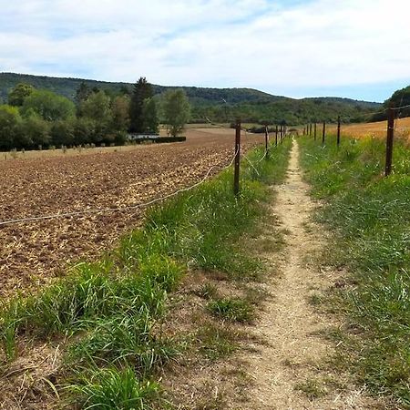 Gite D L'Ardoise Prive Fumay Exterior foto